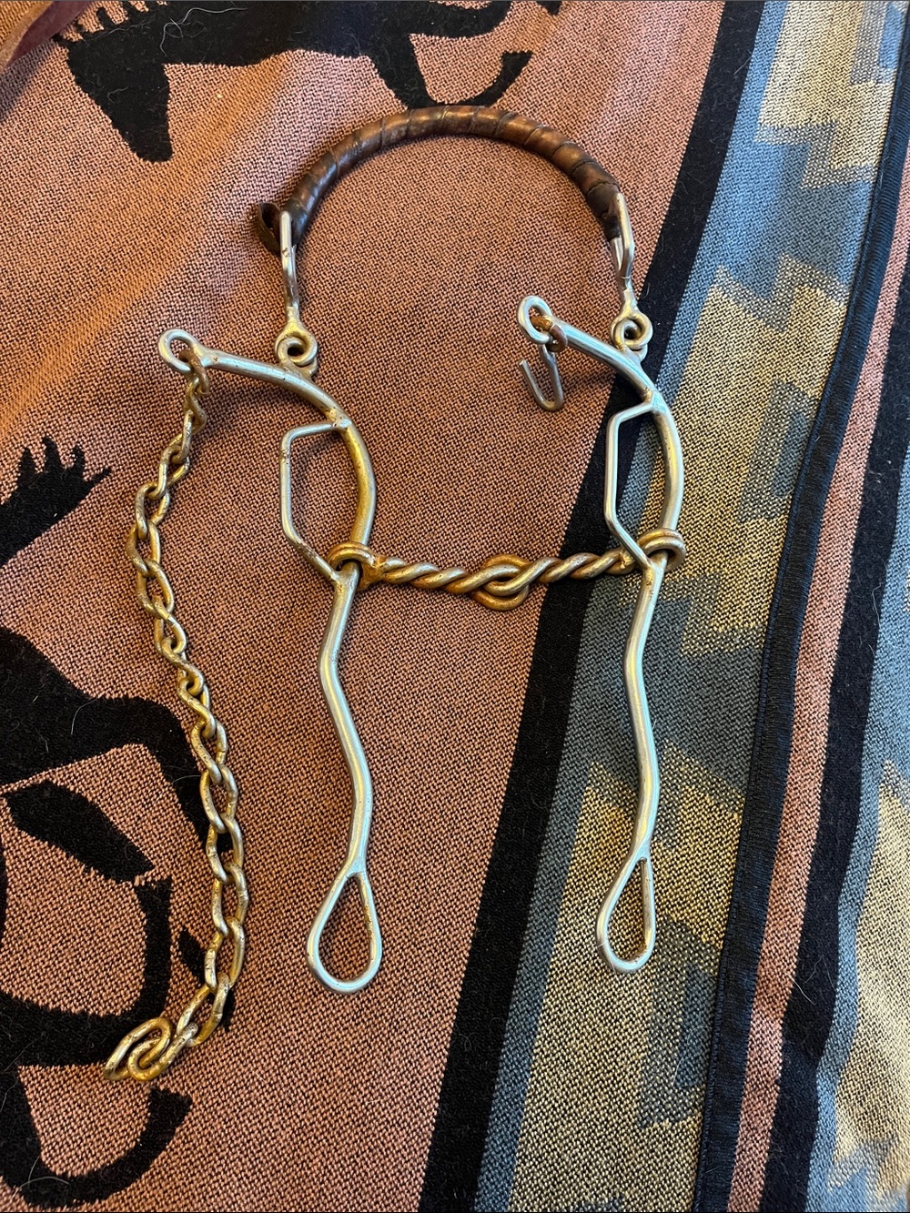 Hackamore with gag